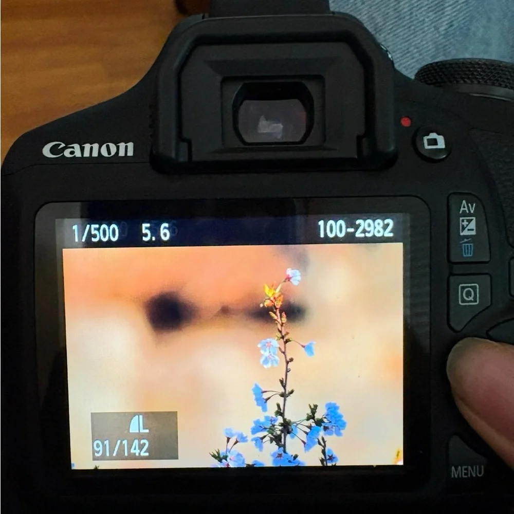 Canon rebel t7